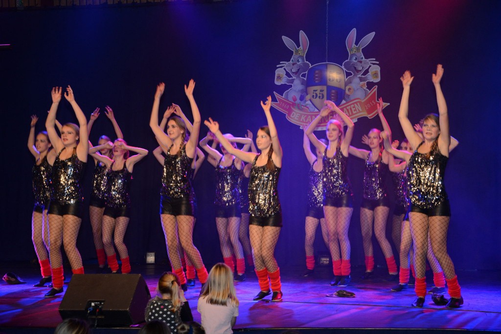 ../Images/Dansmarieke festival 2015 533.jpg